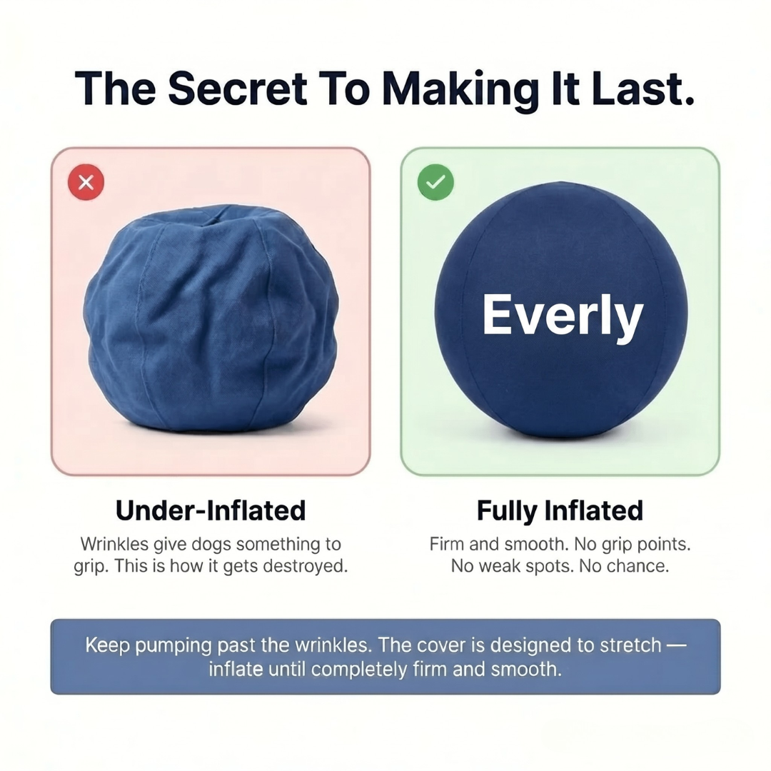 Everly™ Herding Ball