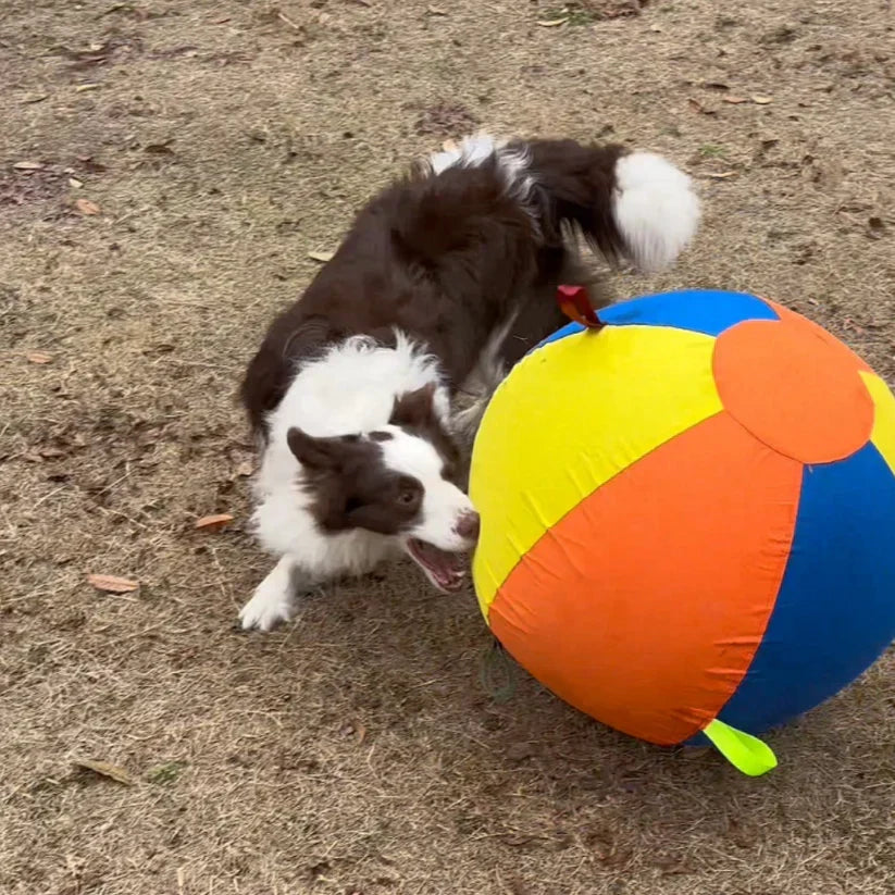 Everly™ Giant Ball