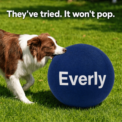 Everly™ Herding Ball