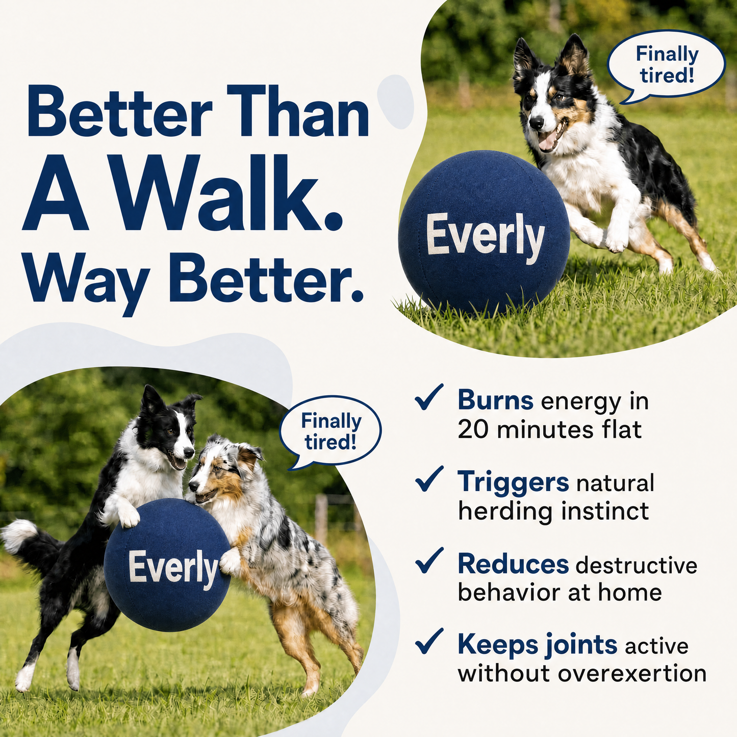 Everly™ Herding Ball