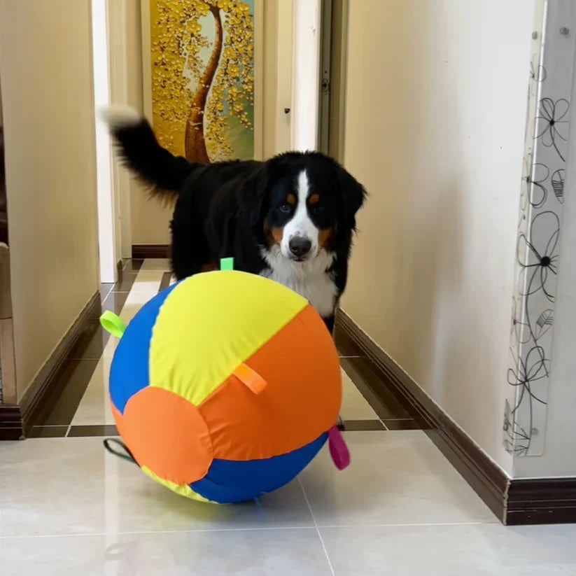 Everly™ Giant Ball
