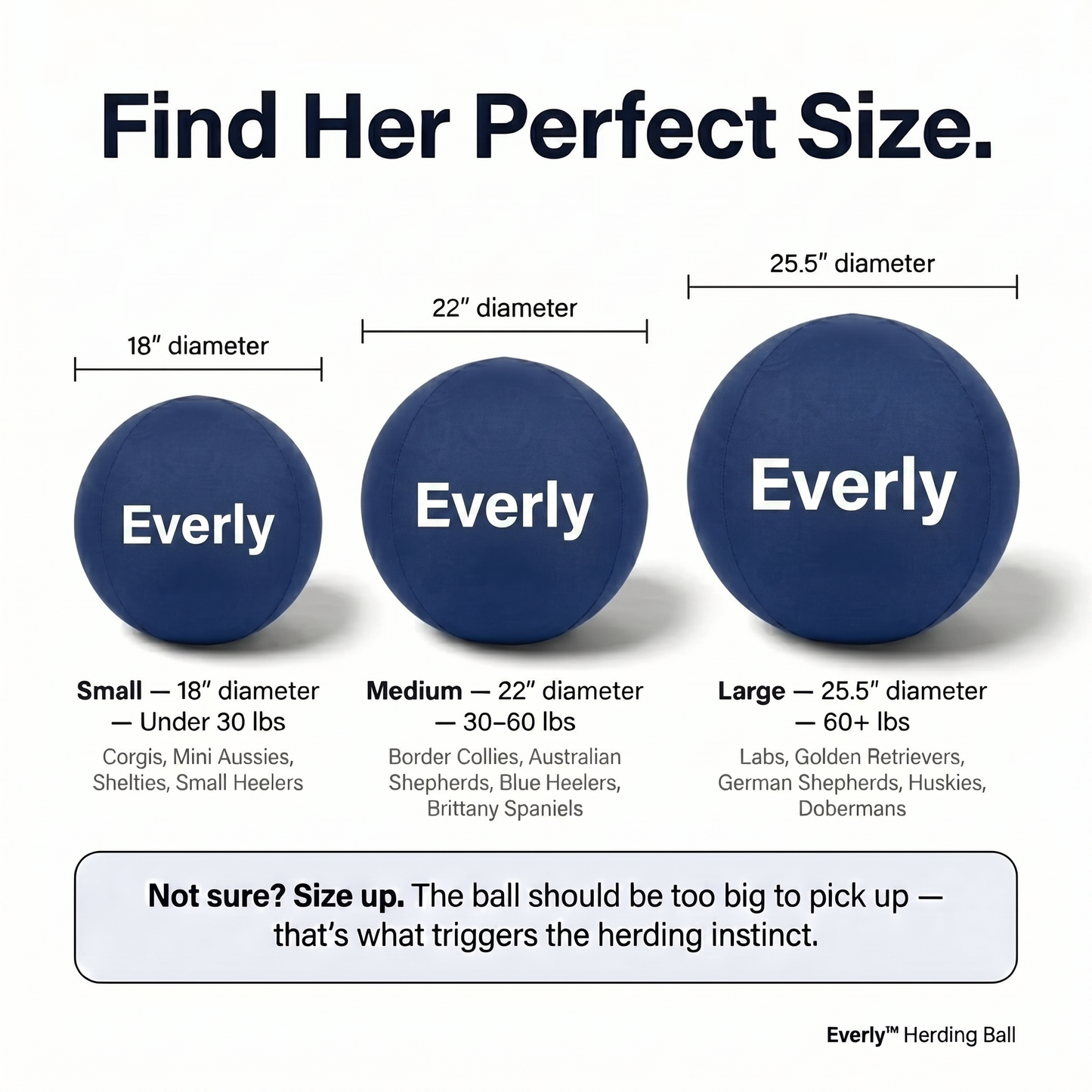 Everly™ Herding Ball